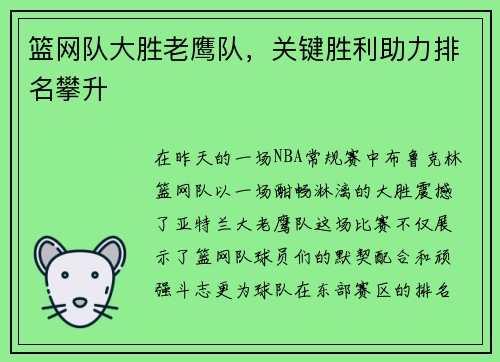 篮网队大胜老鹰队，关键胜利助力排名攀升