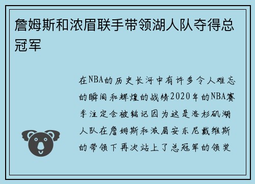 詹姆斯和浓眉联手带领湖人队夺得总冠军